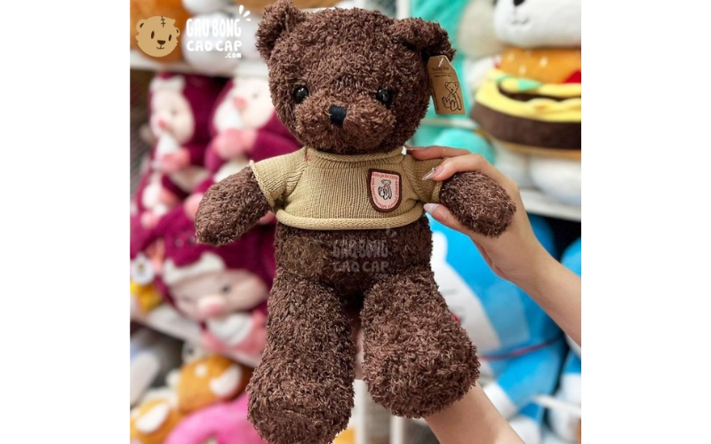 Gấu bông Teddy (1)