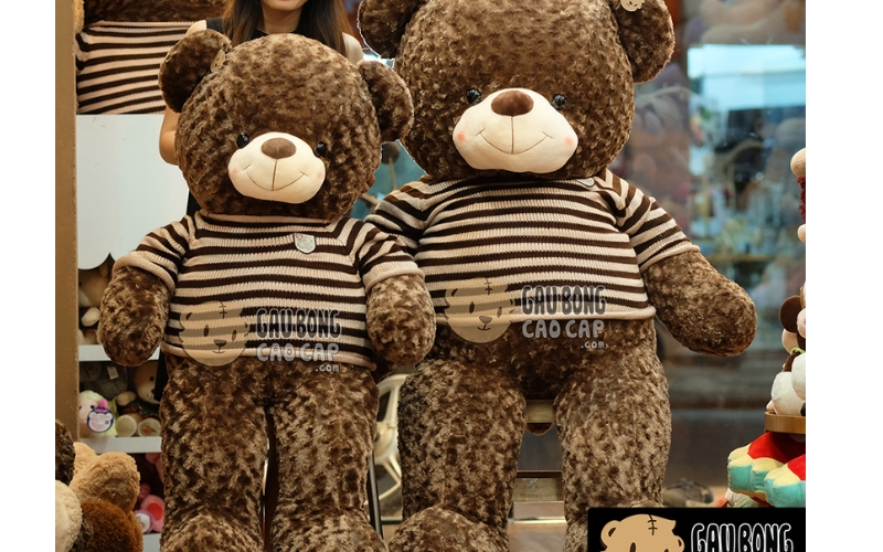 Gấu bông Teddy (4)